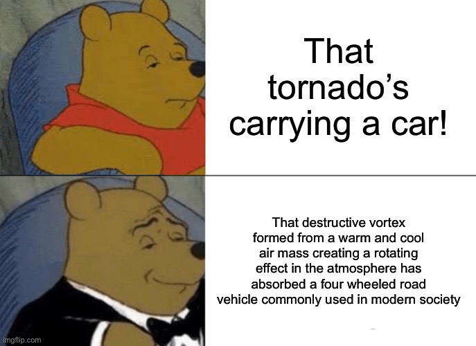 Sounds like something Tails would say lol-comes from a comment I saw | That tornado’s carrying a car! That destructive vortex formed from a warm and cool air mass creating a rotating effect in the atmosphere has absorbed a four wheeled road vehicle commonly used in modern society | image tagged in memes,tuxedo winnie the pooh,sonic 06 | made w/ Imgflip meme maker