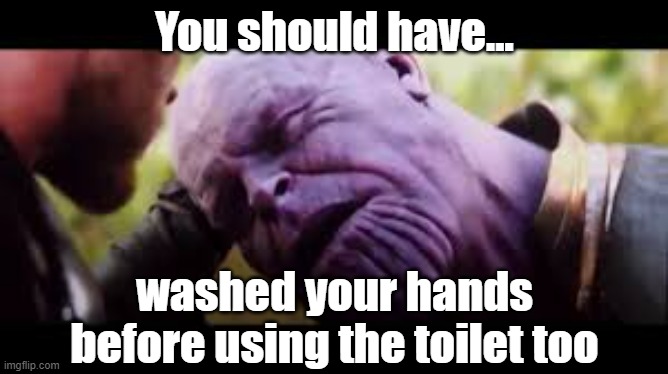 You Should Have Gone For the Head | You should have... washed your hands before using the toilet too | image tagged in you should have gone for the head | made w/ Imgflip meme maker