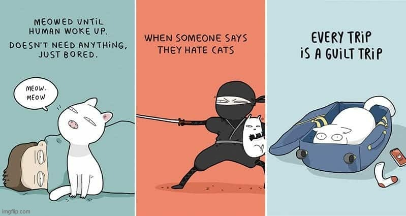 A Cat's Way Of Thinking | image tagged in memes,comics,cats,meow,defense,trip | made w/ Imgflip meme maker