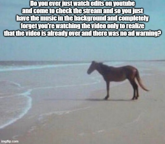 Man | Do you ever just watch edits on youtube and come to check the stream and so you just have the music in the background and completely forget you're watching the video only to realize that the video is already over and there was no ad warning? | image tagged in man horse water | made w/ Imgflip meme maker