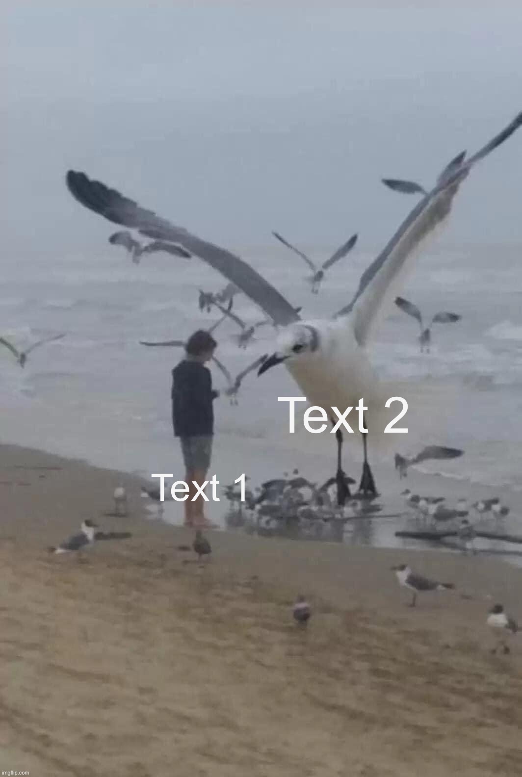 Giant seagull | Text 2; Text 1 | image tagged in giant seagull | made w/ Imgflip meme maker