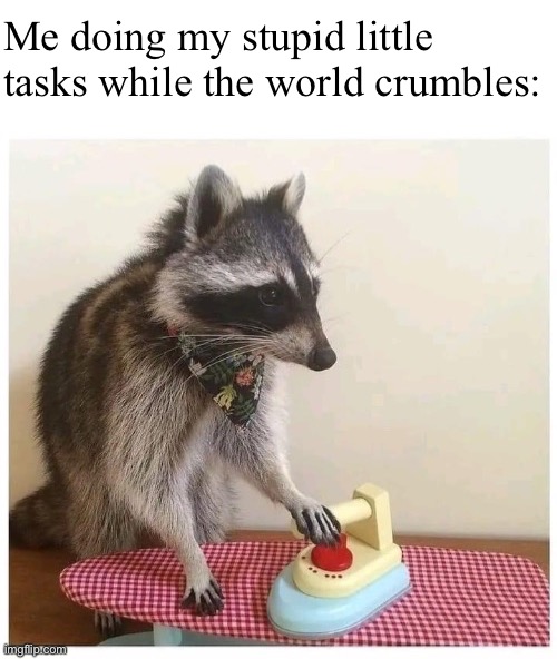 mood | Me doing my stupid little tasks while the world crumbles: | image tagged in raccoon ironing board | made w/ Imgflip meme maker