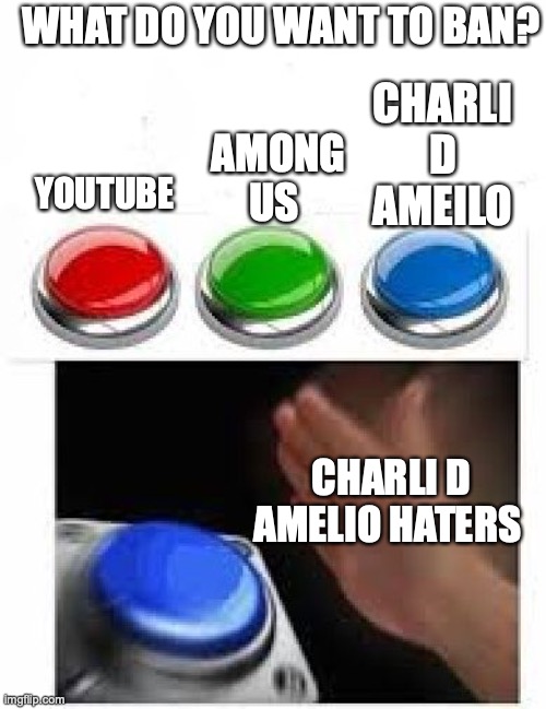 Charli D Amelio haters like me are like..... | WHAT DO YOU WANT TO BAN? CHARLI D AMEILO; AMONG US; YOUTUBE; CHARLI D AMELIO HATERS | image tagged in red green blue buttons,funny memes,relatable memes,tiktok | made w/ Imgflip meme maker