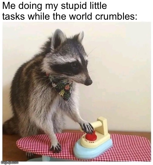 mood |  Me doing my stupid little tasks while the world crumbles: | image tagged in raccoon ironing board,mood,m,o,od,raccoon | made w/ Imgflip meme maker