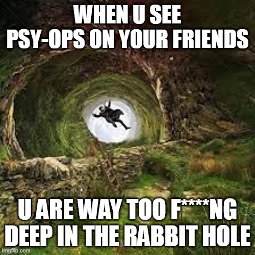 Psy-ops | WHEN U SEE PSY-OPS ON YOUR FRIENDS; U ARE WAY TOO F****NG DEEP IN THE RABBIT HOLE | image tagged in alice in wonderland | made w/ Imgflip meme maker