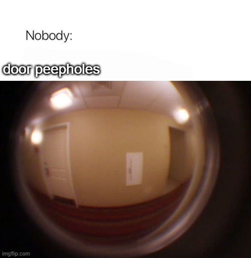 Nobody | door peepholes | image tagged in nobody | made w/ Imgflip meme maker