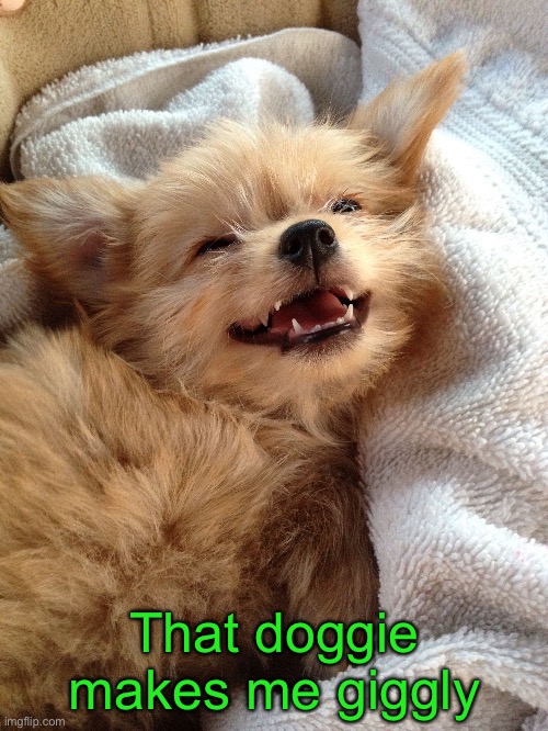 That doggie makes me giggly | made w/ Imgflip meme maker