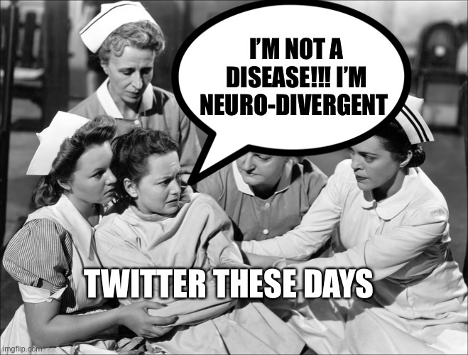 Neuro-Divergence |  I’M NOT A DISEASE!!! I’M NEURO-DIVERGENT; TWITTER THESE DAYS | image tagged in insane,insanity,twitter | made w/ Imgflip meme maker