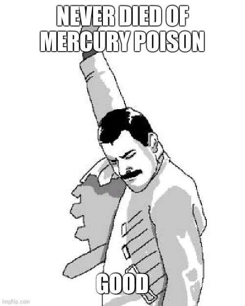 Would probably be annoyed screaming in his grave |  NEVER DIED OF MERCURY POISON; GOOD | image tagged in freddie mercury | made w/ Imgflip meme maker