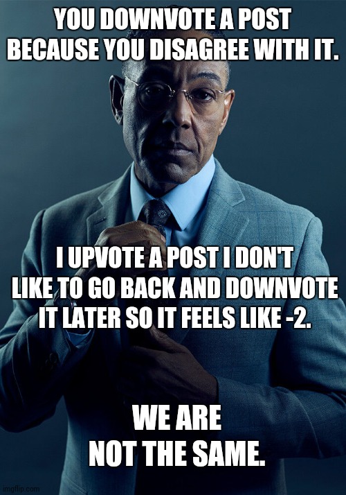 Reddit | YOU DOWNVOTE A POST BECAUSE YOU DISAGREE WITH IT. I UPVOTE A POST I DON'T LIKE TO GO BACK AND DOWNVOTE IT LATER SO IT FEELS LIKE -2. WE ARE NOT THE SAME. | image tagged in reddit | made w/ Imgflip meme maker
