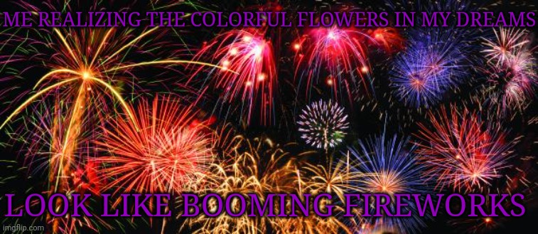 Booming fireworks | ME REALIZING THE COLORFUL FLOWERS IN MY DREAMS LOOK LIKE BOOMING FIREWORKS | image tagged in colorful fireworks,fireworks,memes,comment section,comments,comment | made w/ Imgflip meme maker