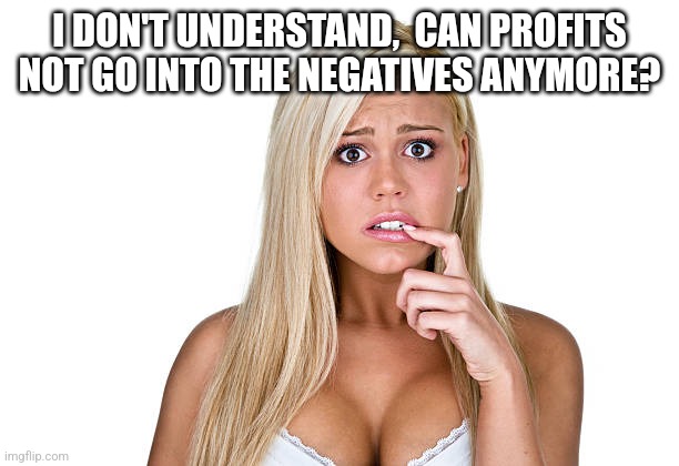 Dumb Blonde | I DON'T UNDERSTAND,  CAN PROFITS NOT GO INTO THE NEGATIVES ANYMORE? | image tagged in dumb blonde | made w/ Imgflip meme maker