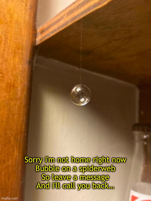 A Likely Story | Sorry I'm not home right now
Bubble on a spiderweb
So leave a message
And I'll call you back… | image tagged in funny memes,song lyrics,no doubt,spiderweb | made w/ Imgflip meme maker