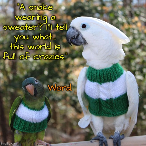 “A snake wearing a sweater? I’ll tell you what… this world is full of crazies.” Word. | made w/ Imgflip meme maker