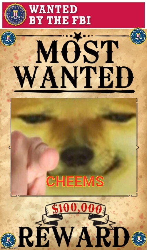 Wanted for being a bad doge | CHEEMS | image tagged in fbi,doge,cheems,vote in the comments | made w/ Imgflip meme maker