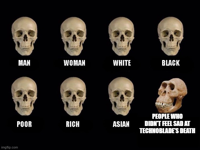 empty skulls of truth |  PEOPLE WHO DIDN'T FEEL SAD AT TECHNOBLADE'S DEATH | image tagged in empty skulls of truth | made w/ Imgflip meme maker