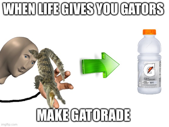 Blank White Template | WHEN LIFE GIVES YOU GATORS; MAKE GATORADE | image tagged in blank white template | made w/ Imgflip meme maker