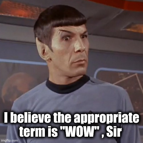 Puzzled Spock | I believe the appropriate term is "WOW" , Sir | image tagged in puzzled spock | made w/ Imgflip meme maker