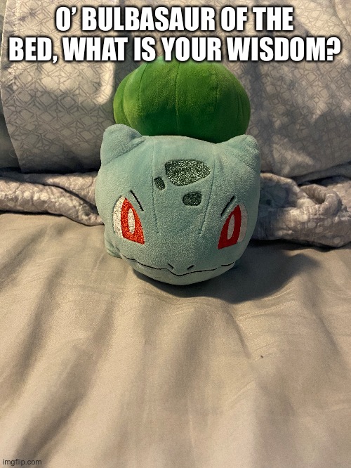 Bulbasaur of the bed | O’ BULBASAUR OF THE BED, WHAT IS YOUR WISDOM? | made w/ Imgflip meme maker