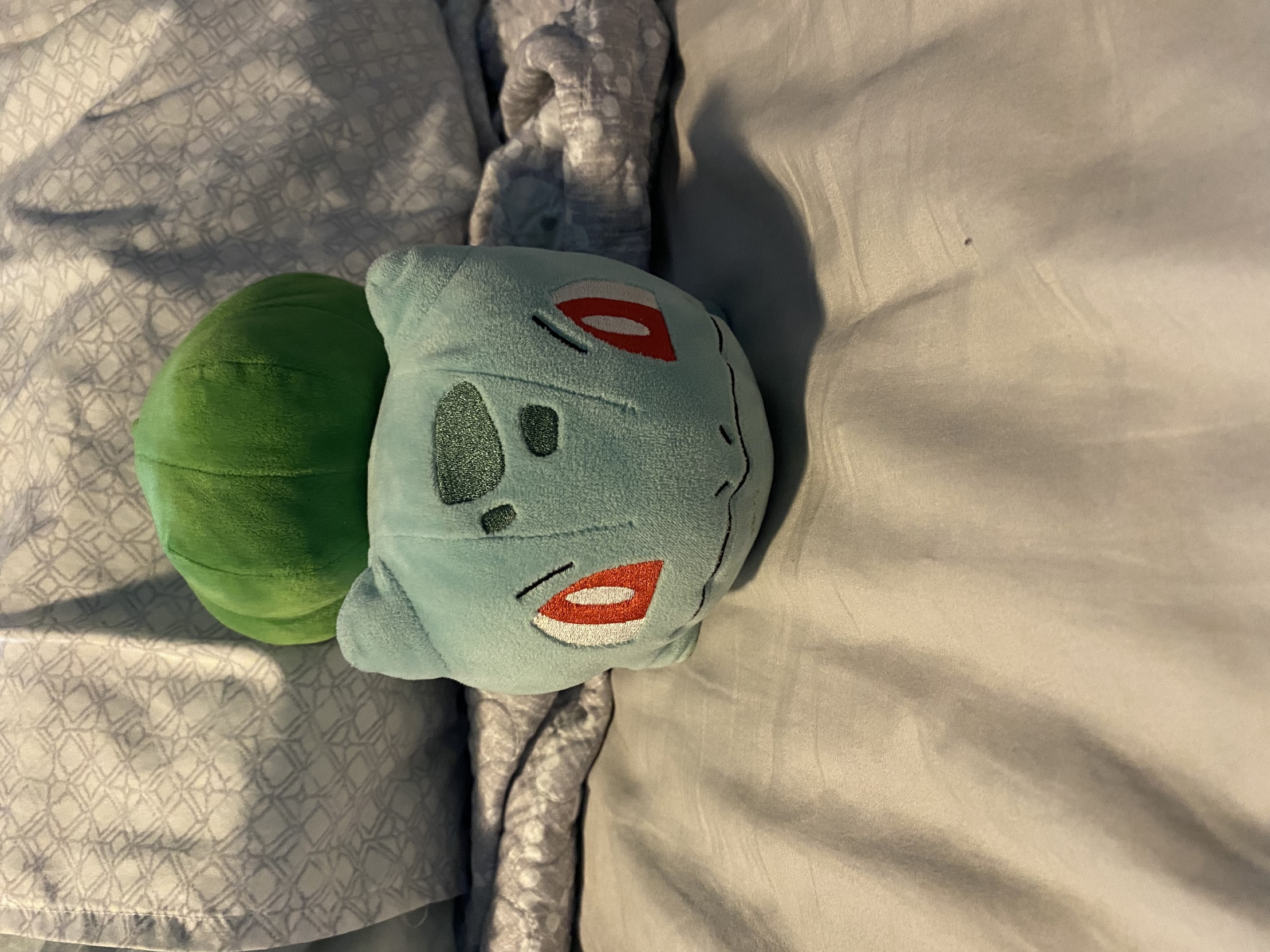 Bulbasaur of the bed Blank Meme Template