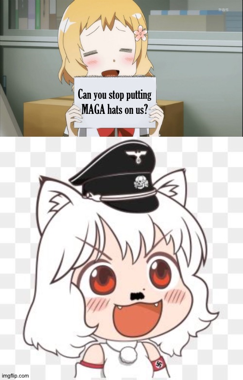 Be careful what you ask for | image tagged in maga,nazi anime | made w/ Imgflip meme maker