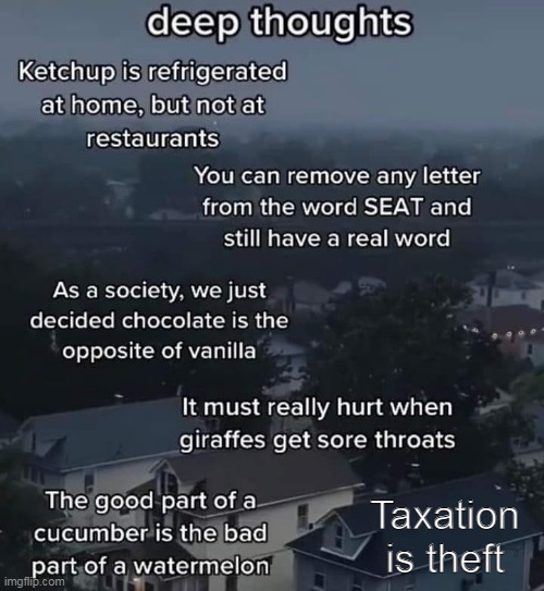 Deep thoughts |  Taxation is theft | image tagged in taxation is theft,deep thoughts | made w/ Imgflip meme maker