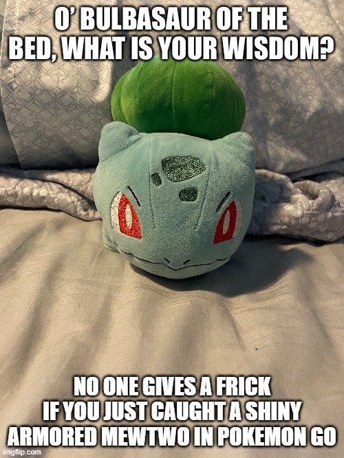 True dat | NO ONE GIVES A FRICK IF YOU JUST CAUGHT A SHINY ARMORED MEWTWO IN POKEMON GO | image tagged in memes,bulbasaur of the bed,pokemon,bulbasaur,pokemon go,why are you reading this | made w/ Imgflip meme maker