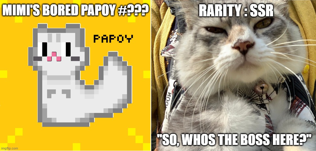 RARITY : SSR; MIMI'S BORED PAPOY #??? "SO, WHOS THE BOSS HERE?" | made w/ Imgflip meme maker