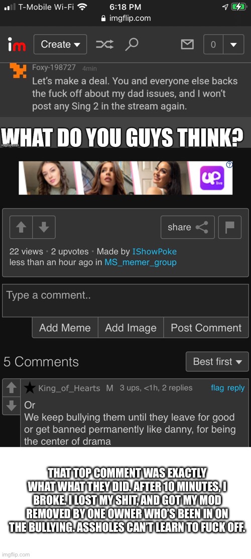 THAT TOP COMMENT WAS EXACTLY WHAT WHAT THEY DID. AFTER 10 MINUTES, I BROKE. I LOST MY SHIT, AND GOT MY MOD REMOVED BY ONE OWNER WHO’S BEEN IN ON THE BULLYING. ASSHOLES CAN’T LEARN TO FUCK OFF. | made w/ Imgflip meme maker