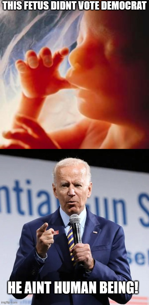 Make Life Great Again | THIS FETUS DIDNT VOTE DEMOCRAT; HE AINT HUMAN BEING! | image tagged in fetus,you aint black,politics,democrat | made w/ Imgflip meme maker