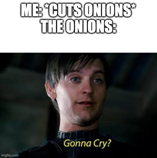 Gonna Cry? | ME: *CUTS ONIONS*
THE ONIONS: | image tagged in gonna cry | made w/ Imgflip meme maker