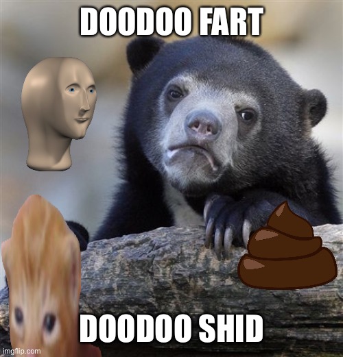 Why did I make this | DOODOO FART; DOODOO SHID | image tagged in memes,confession bear | made w/ Imgflip meme maker