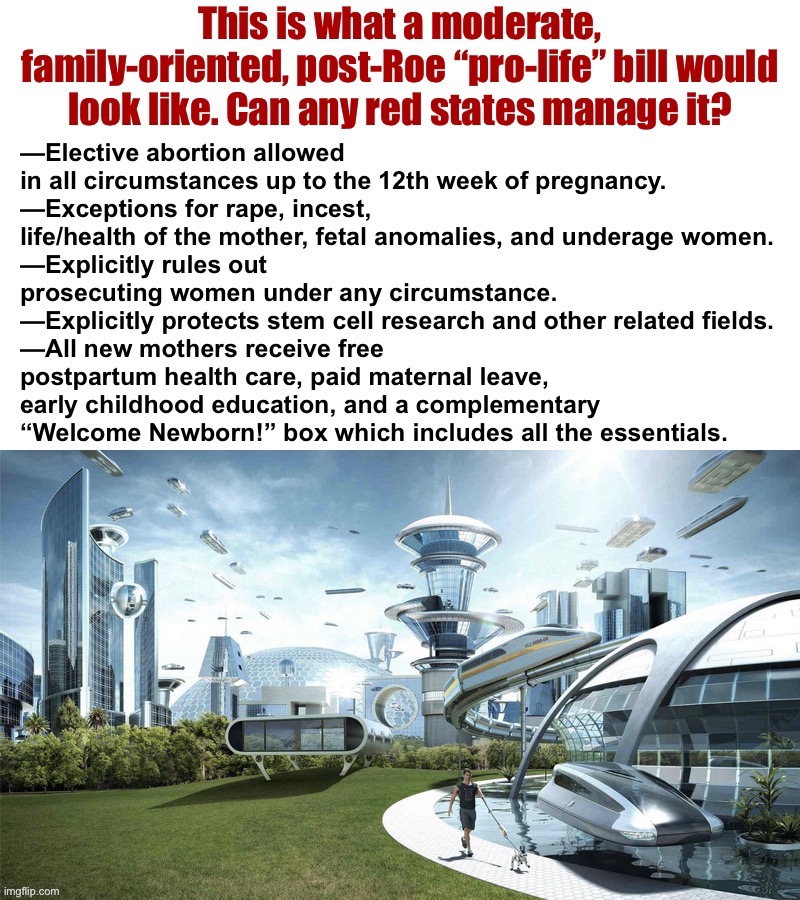 A sensible “pro-life” policy would include some or all of these elements. Blue states should also pass maternal support bills. | image tagged in sensible pro-life policy | made w/ Imgflip meme maker