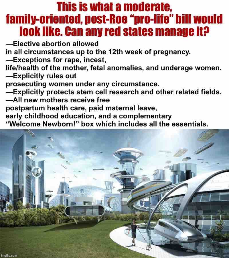A sensible “pro-life” policy would include some or all of these elements. Blue states should also pass maternal support bills. | image tagged in sensible pro-life policy,pro-life,abortion,parenting,policy,common sense | made w/ Imgflip meme maker
