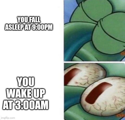 Isn't that Relatable?!? |  YOU FALL ASLEEP AT 9:00PM; YOU WAKE UP
AT 3:00AM | image tagged in squidward sleeping | made w/ Imgflip meme maker