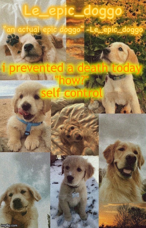 Doggo temp by doggo. Wait what that’s confusing | i prevented a death today
"how?"
self control | image tagged in doggo temp by doggo wait what that s confusing | made w/ Imgflip meme maker