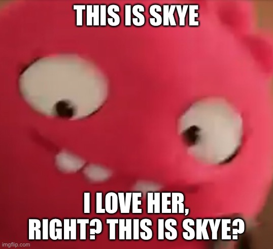 THIS IS SKYE; I LOVE HER, RIGHT? THIS IS SKYE? | made w/ Imgflip meme maker