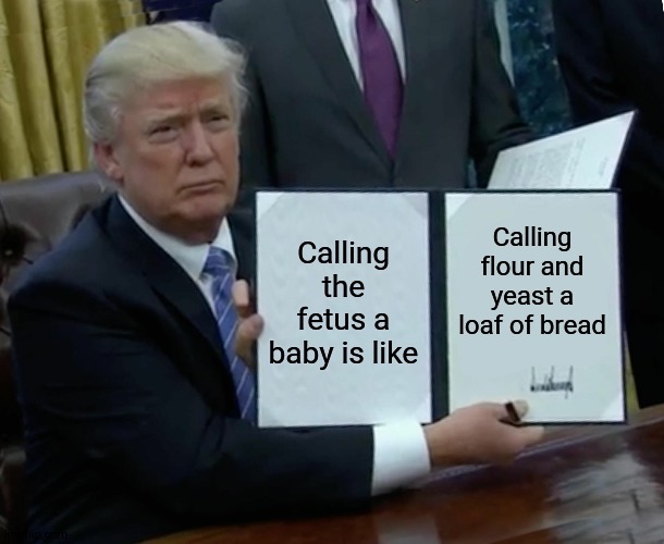 this is too smart even for this guy | Calling the fetus a baby is like; Calling flour and yeast a loaf of bread | image tagged in memes,trump bill signing | made w/ Imgflip meme maker