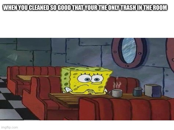 WHEN YOU CLEANED SO GOOD THAT YOUR THE ONLY TRASH IN THE ROOM | image tagged in funny,relatable | made w/ Imgflip meme maker