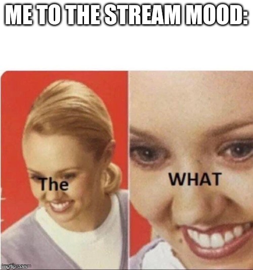 The What lady | ME TO THE STREAM MOOD: | image tagged in the what lady | made w/ Imgflip meme maker