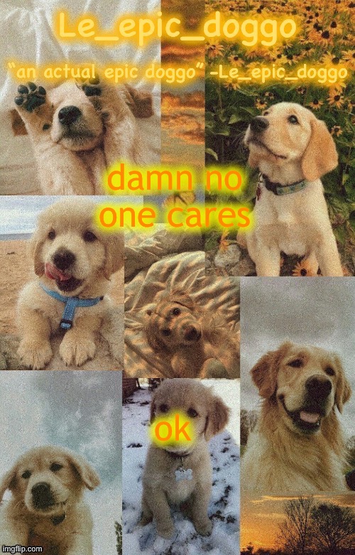 Doggo temp by doggo. Wait what that’s confusing | damn no one cares; ok | image tagged in doggo temp by doggo wait what that s confusing | made w/ Imgflip meme maker