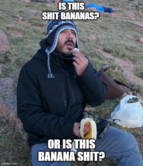 Will | IS THIS SHIT BANANAS? OR IS THIS BANANA SHIT? | image tagged in will | made w/ Imgflip meme maker