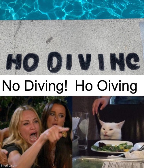 Ho Oiving | No Diving! Ho Oiving | image tagged in memes,woman yelling at cat,design fails | made w/ Imgflip meme maker