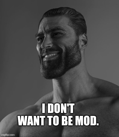 Giga Chad | I DON'T WANT TO BE MOD. | image tagged in giga chad | made w/ Imgflip meme maker