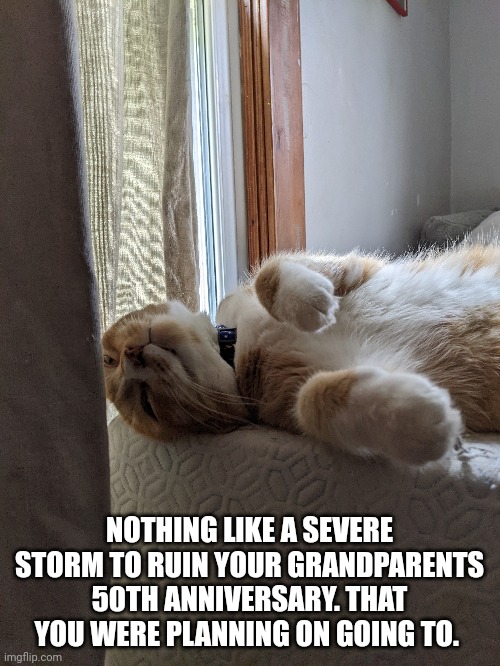 If I die to a storm, I just wanted to say, your all fatherless | NOTHING LIKE A SEVERE STORM TO RUIN YOUR GRANDPARENTS 50TH ANNIVERSARY. THAT YOU WERE PLANNING ON GOING TO. | made w/ Imgflip meme maker