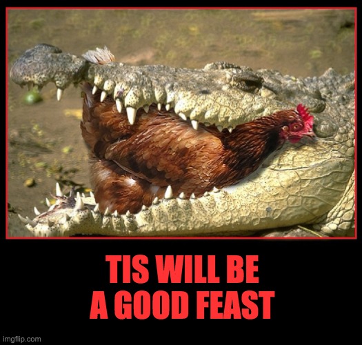 Gator Eating Chicken | TIS WILL BE A GOOD FEAST | image tagged in gator eating chicken | made w/ Imgflip meme maker