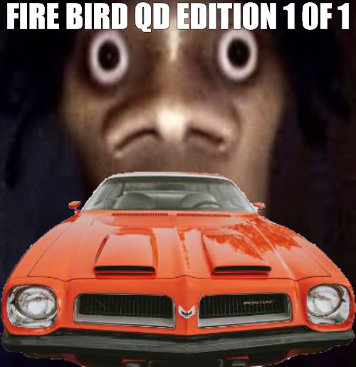 you see me | FIRE BIRD QD EDITION 1 0F 1 | image tagged in quandale dingle | made w/ Imgflip meme maker