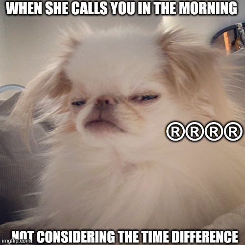 Grumpy Judgy Dog | WHEN SHE CALLS YOU IN THE MORNING; ®®®®; NOT CONSIDERING THE TIME DIFFERENCE | image tagged in grumpy judgy dog,long distance relationship | made w/ Imgflip meme maker