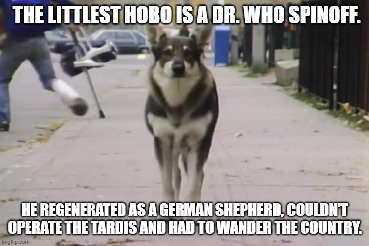 Dr Shepherd | THE LITTLEST HOBO IS A DR. WHO SPINOFF. HE REGENERATED AS A GERMAN SHEPHERD, COULDN'T OPERATE THE TARDIS AND HAD TO WANDER THE COUNTRY. | image tagged in doctor who,littlest hobo,dog | made w/ Imgflip meme maker