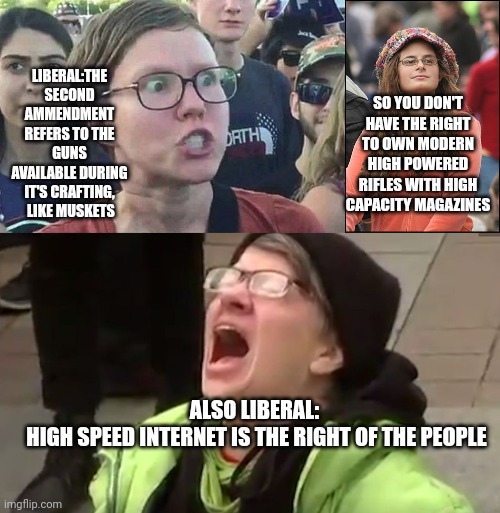 SO YOU DON'T HAVE THE RIGHT TO OWN MODERN HIGH POWERED RIFLES WITH HIGH CAPACITY MAGAZINES; LIBERAL:THE SECOND AMMENDMENT REFERS TO THE GUNS AVAILABLE DURING IT'S CRAFTING,  LIKE MUSKETS; ALSO LIBERAL: 
HIGH SPEED INTERNET IS THE RIGHT OF THE PEOPLE | image tagged in triggered liberal,college-liberal jpg,screaming liberal | made w/ Imgflip meme maker